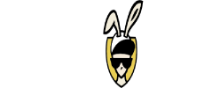 Slotbunny